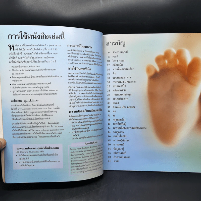 เจาะลึกร่างกายมนุษย์ Human Body รูปที่ 9