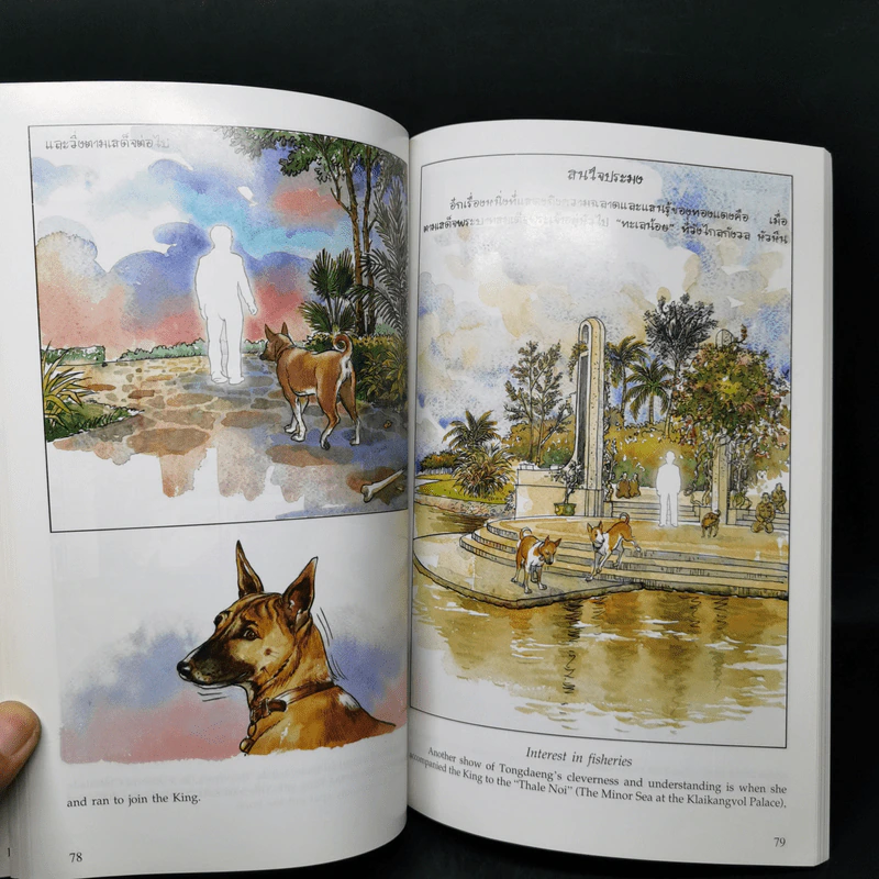 เรื่องทองแดง The Story of Tongdaeng ฉบับการ์ตูน ภาพสี รูปที่ 12