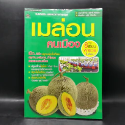 เมล่อนคนเมือง - อภิชาติ ศรีสอาด