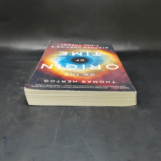 On the Origin of Time - Thomas Hertog รูปที่ 6
