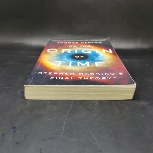 On the Origin of Time - Thomas Hertog รูปที่ 4