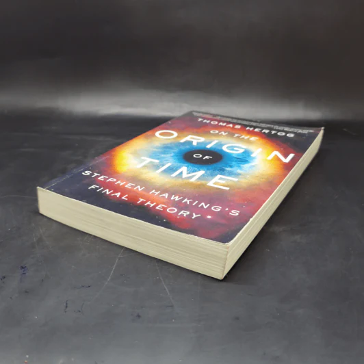 On the Origin of Time - Thomas Hertog รูปที่ 7