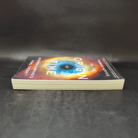 On the Origin of Time - Thomas Hertog รูปที่ 5