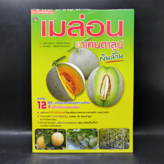 เมล่อน & แคนตาลูป เงินล้าน - อภิชาติ ศรีสอาด รูปที่ 1