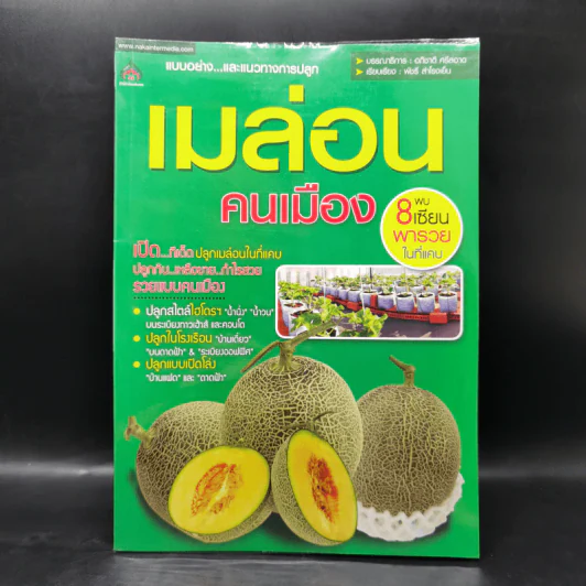 เมล่อนคนเมือง - อภิชาติ ศรีสอาด รูปที่ 1