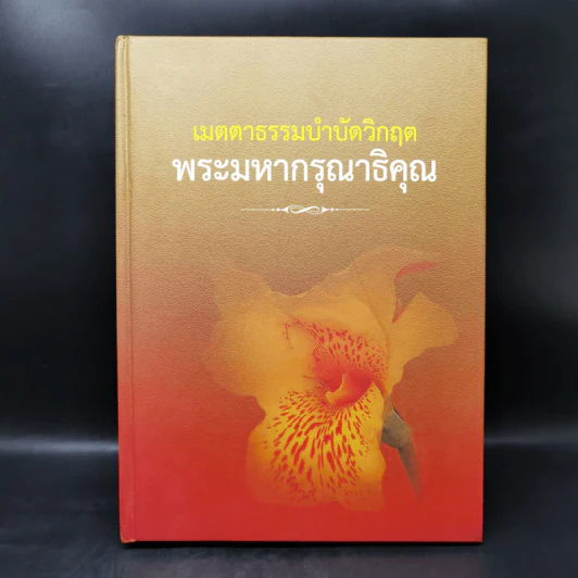 เมตตาธรรมบำบัดวิกฤต พระมหากรุณาธิคุณ รูปที่ 1