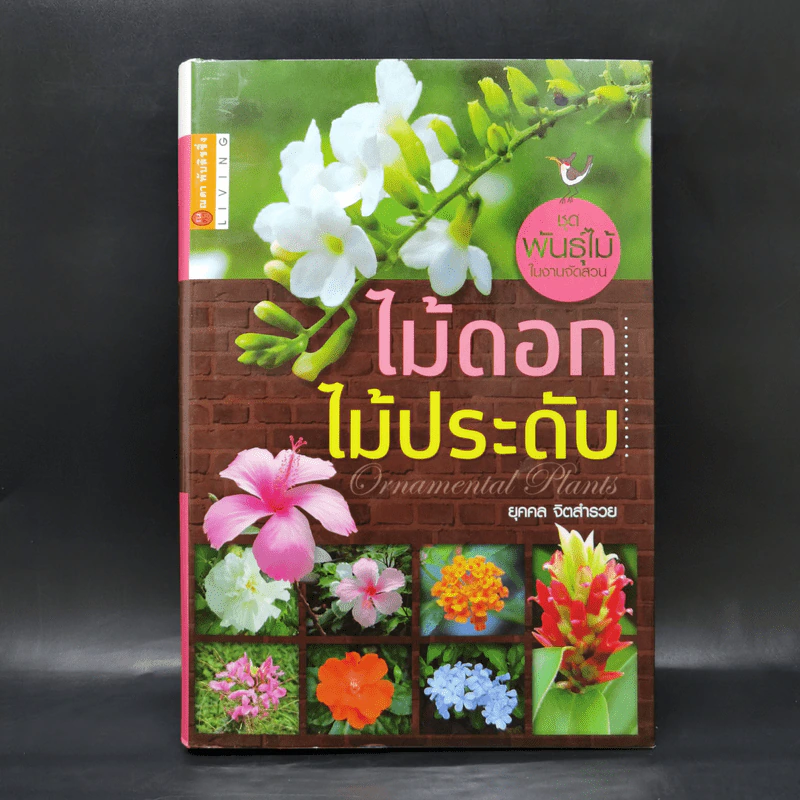 ไม้ดอกไม้ประดับ - ยุคคล จิตสำรวย รูปที่ 1