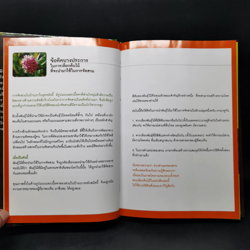 ไม้ดอกไม้ประดับ - ยุคคล จิตสำรวย รูปที่ 11