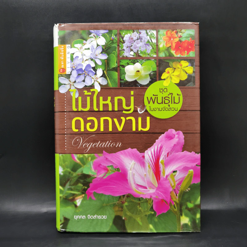 ไม้ใหญ่ดอกงาม - ยุคคล จิตสำรวย รูปที่ 1