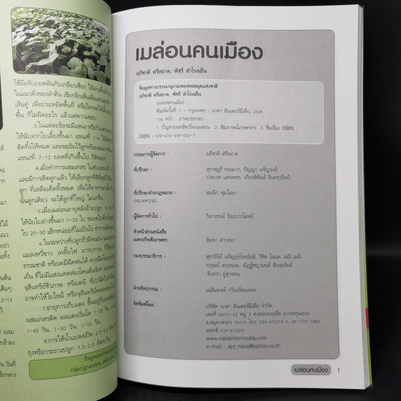 เมล่อนคนเมือง - อภิชาติ ศรีสอาด รูปที่ 10