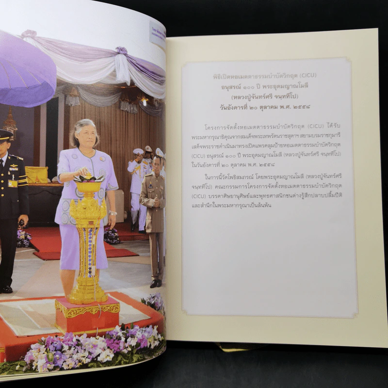 เมตตาธรรมบำบัดวิกฤต มหาเมตตาคุณ รูปที่ 11
