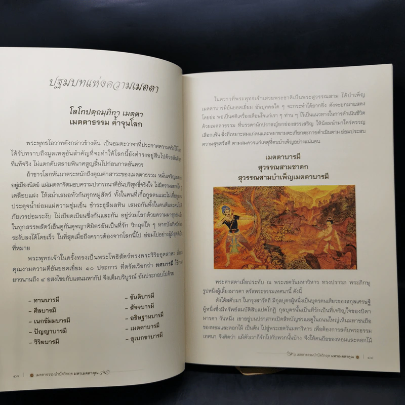 เมตตาธรรมบำบัดวิกฤต มหาเมตตาคุณ รูปที่ 12