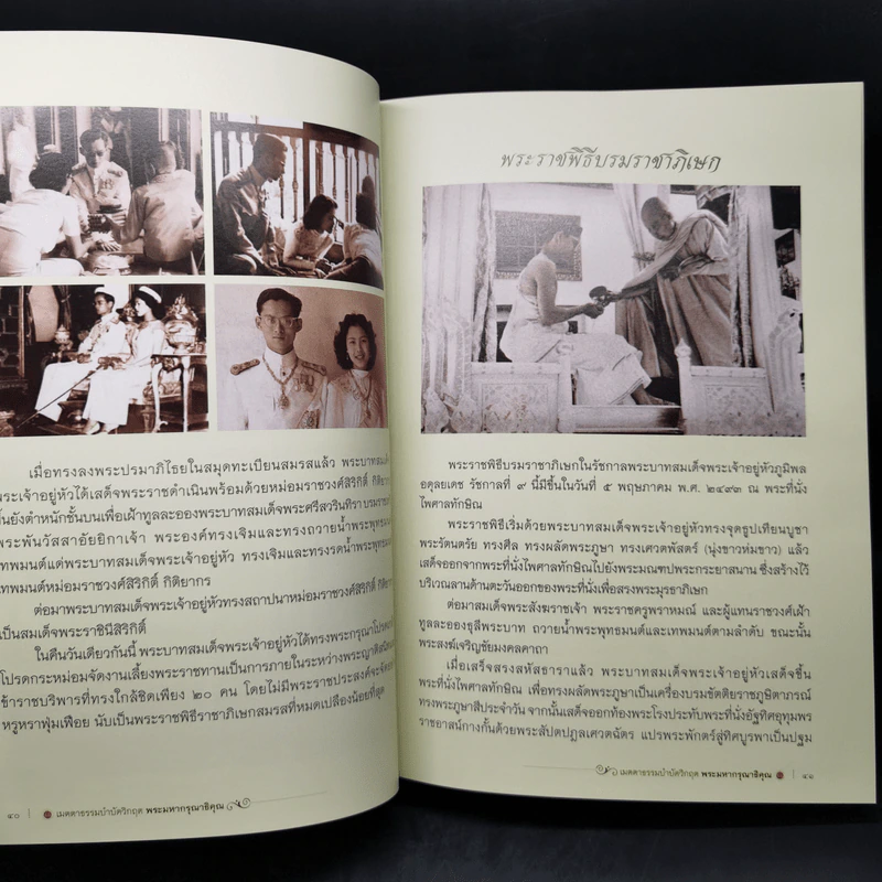 เมตตาธรรมบำบัดวิกฤต พระมหากรุณาธิคุณ รูปที่ 12