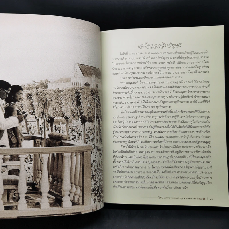 เมตตาธรรมบำบัดวิกฤต พระมหากรุณาธิคุณ รูปที่ 13