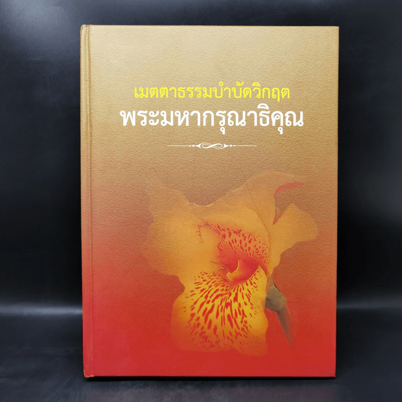เมตตาธรรมบำบัดวิกฤต พระมหากรุณาธิคุณ รูปที่ 1