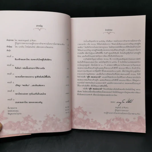 คู่ฟ้าสองพระบารมี รูปที่ 8