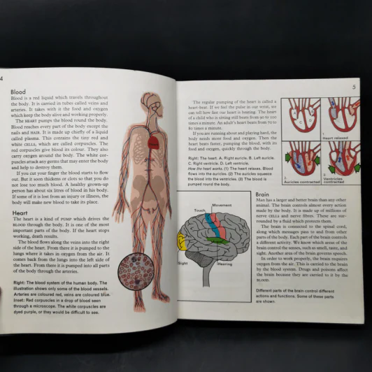 Macmillan Our World Encyclopedia Volume1 รูปที่ 10