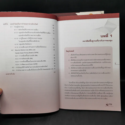 การลงทุนในตราสารทุน + ตราสารหนี้ + ทฤษฎีตลาดหุ้น รูปที่ 18