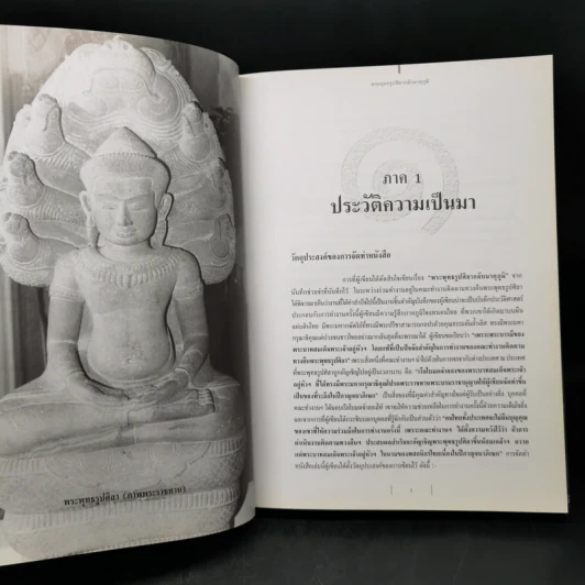 พระพุทธรูปศิลากลับมาตุภูมิ - พิมพา ลิมปพยอม รูปที่ 11
