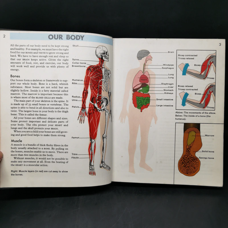 Macmillan Our World Encyclopedia Volume1 รูปที่ 9