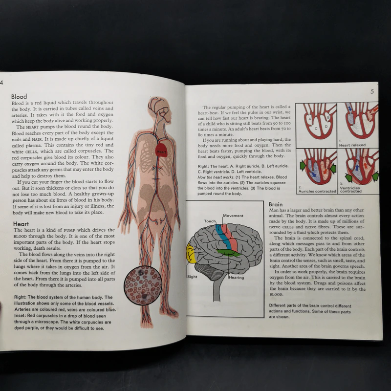 Macmillan Our World Encyclopedia Volume1 รูปที่ 10