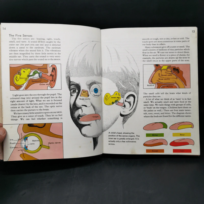 Macmillan Our World Encyclopedia Volume1 รูปที่ 11