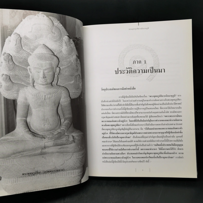 พระพุทธรูปศิลากลับมาตุภูมิ - พิมพา ลิมปพยอม รูปที่ 11