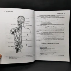 Neuroanatomy ประสาทกายวิภาคศาสตร์ - มีชัย ศรีใส รูปที่ 9