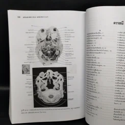 Neuroanatomy ประสาทกายวิภาคศาสตร์ - มีชัย ศรีใส รูปที่ 11