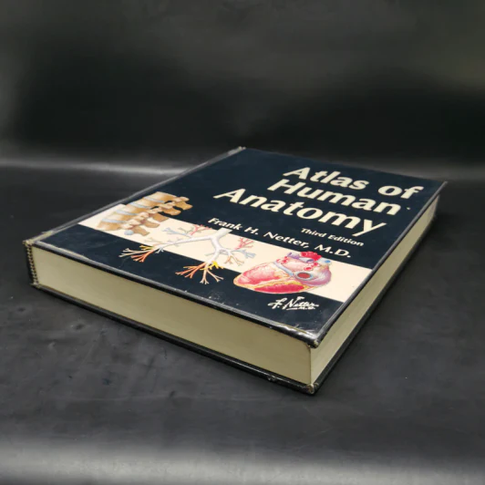 Atlas of Human Anatomy - Frank H. Netter รูปที่ 7