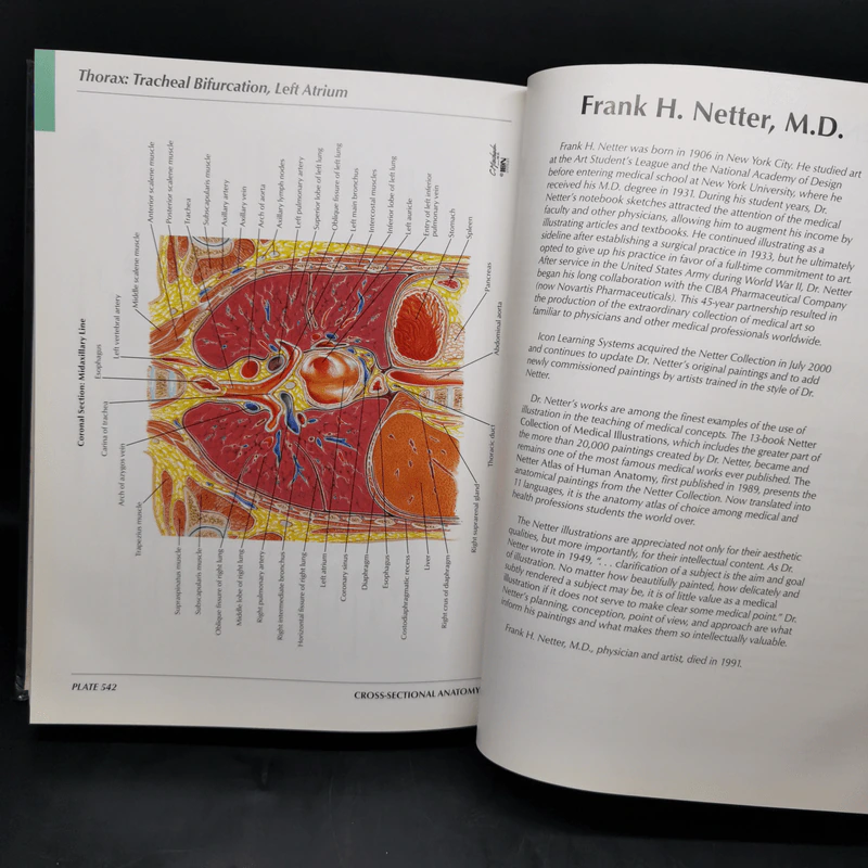 Atlas of Human Anatomy - Frank H. Netter รูปที่ 20