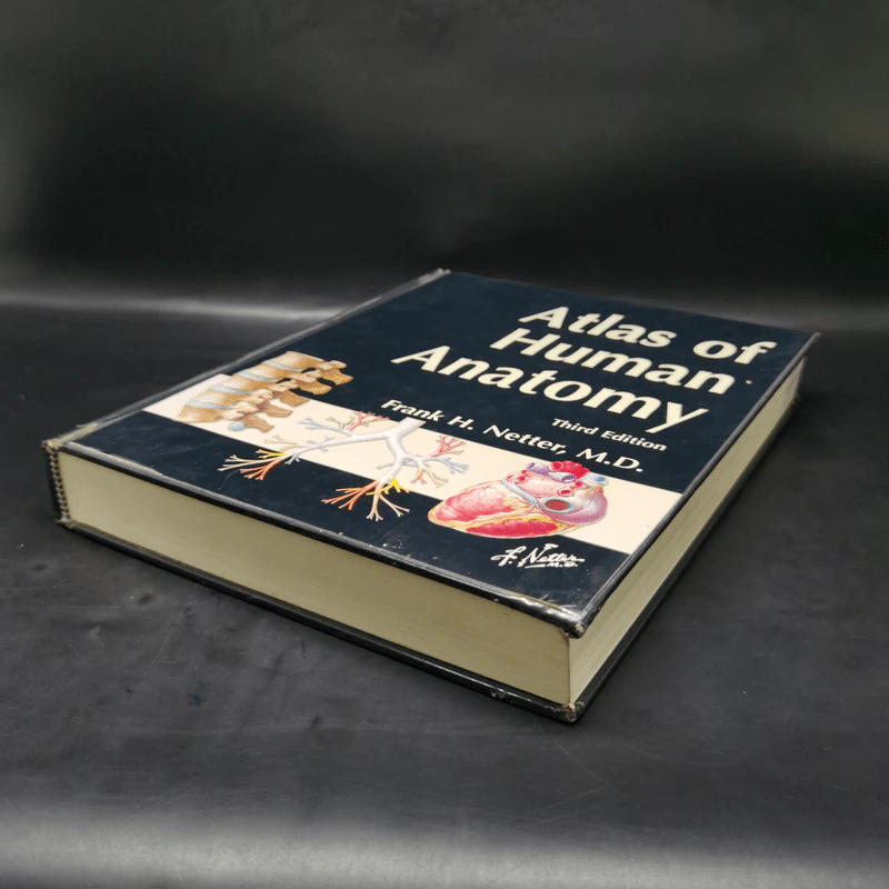 Atlas of Human Anatomy - Frank H. Netter รูปที่ 7