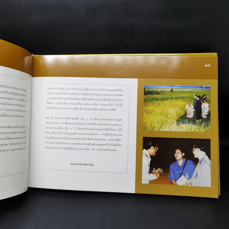 ประชาปีติ บันทึกแห่งปีมหามงคล พระบารมีปกเกล้าฯ กรมโยธาธิการและผังเมือง รูปที่ 14