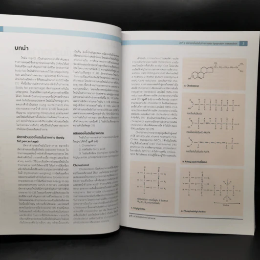 Dyslipidemia ภาวะไขมันในเลือดผิดปกติ - นันทกร ทองแตง, สุทิน ศรีอัษฎาพร รูปที่ 12