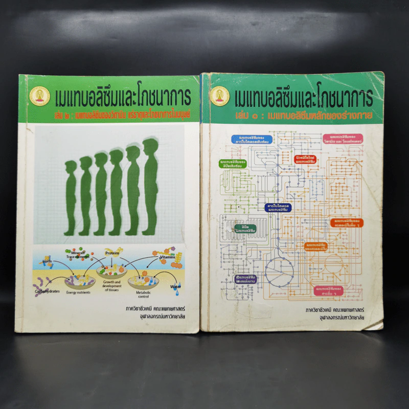 แมแทบอลิซึมและโภชนาการ เล่ม 1-2 เมแทบอลิซึมหลักของร่างกาย รูปที่ 1