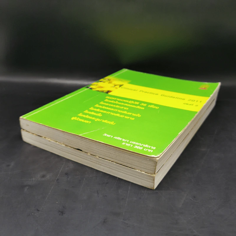 Clinical Practice Guideline 2010-2011 รูปที่ 7