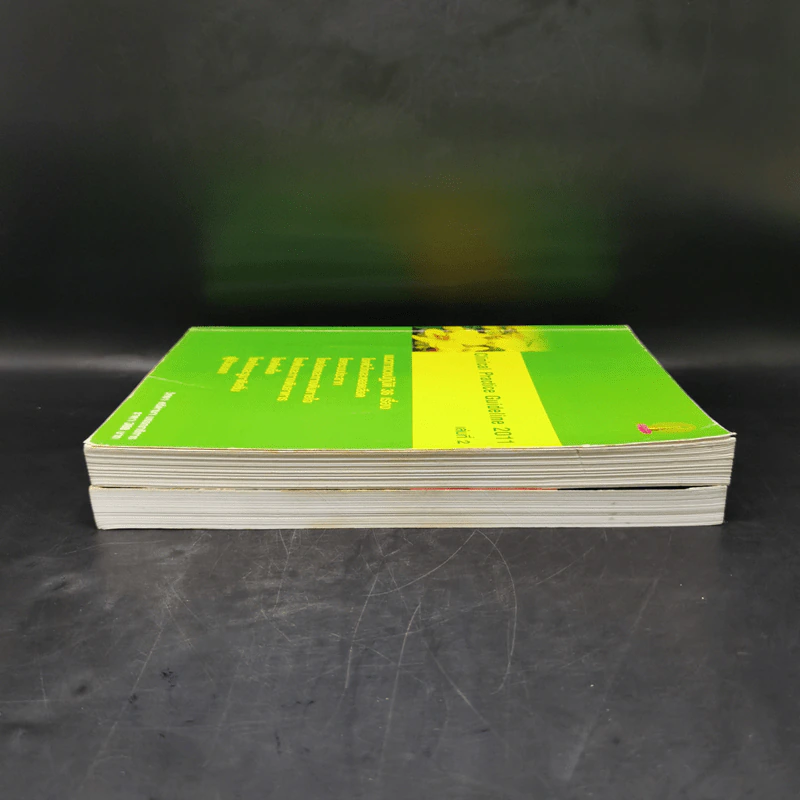 Clinical Practice Guideline 2010-2011 รูปที่ 5