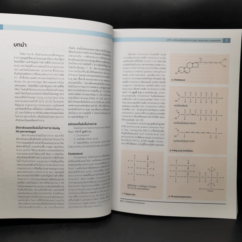 Dyslipidemia ภาวะไขมันในเลือดผิดปกติ - นันทกร ทองแตง, สุทิน ศรีอัษฎาพร รูปที่ 12