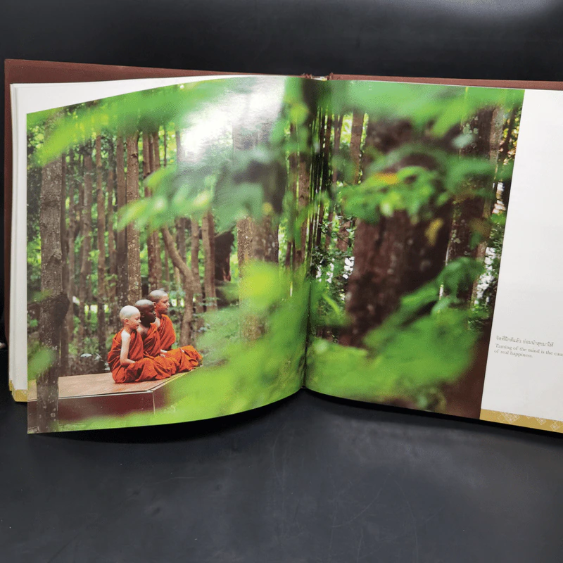 ความรักจักรวาล - โครงการสามเณรปลูกปัญญาธรรม รูปที่ 14