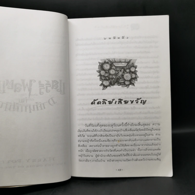 Harry Potter Year 1-7 แฮร์รี่ พอตเตอร์ 7 เล่มจบ - J.K.Rowling รูปที่ 27