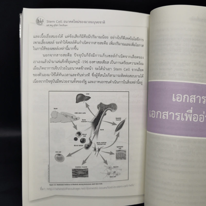 เวชศาสตร์ชะลอวัย จากพื้นฐานสู่แนวปฏิบัติ เล่ม 1 - ธัมม์ทิวัตถ์ นรารัตนวันชัย รูปที่ 12