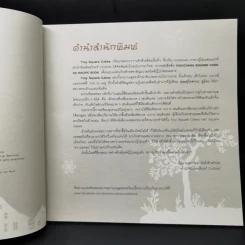 Tiny Square Cakes - ยูโกะ คุโรคาวะ รูปที่ 9