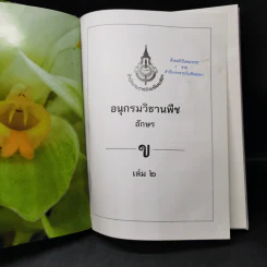 อนุกรมวิธานพืช อักษร ข เล่ม 2 ฉบับราชบัณฑิตยสภา รูปที่ 9