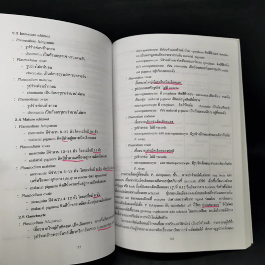 โปรโตซัวทางการแพทย์ Medical Protozoology รูปที่ 13