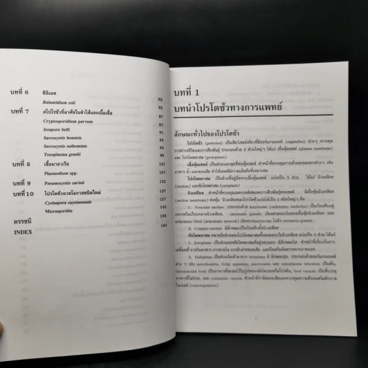 โปรโตซัวทางการแพทย์ Medical Protozoology รูปที่ 10