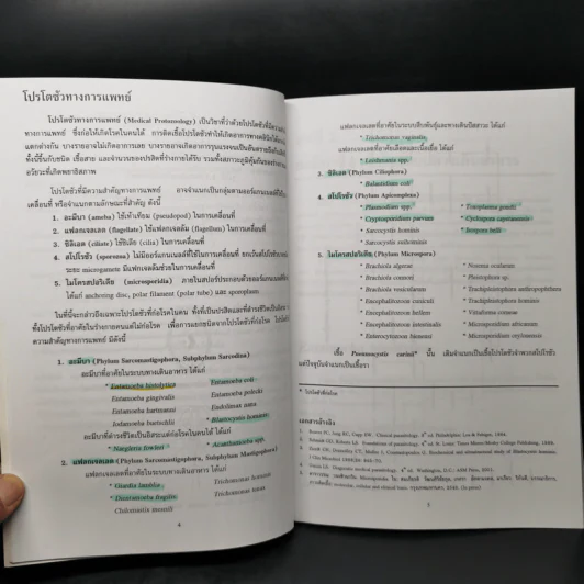 โปรโตซัวทางการแพทย์ Medical Protozoology รูปที่ 11