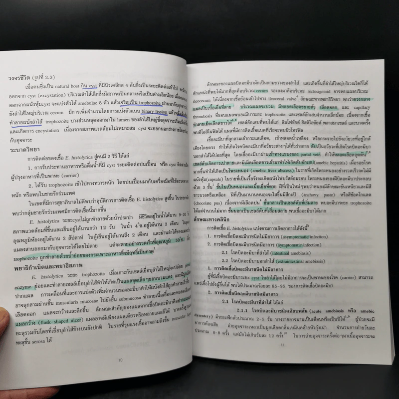 โปรโตซัวทางการแพทย์ Medical Protozoology รูปที่ 12