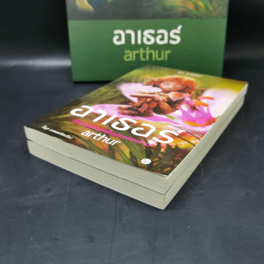 อาเธอร์ Arthur Boxset เล่ม 1-2 - ลุก แบซซอง รูปที่ 17