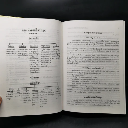 พระไตรปิฎก ฉบับสำหรับประชาชน รูปที่ 16