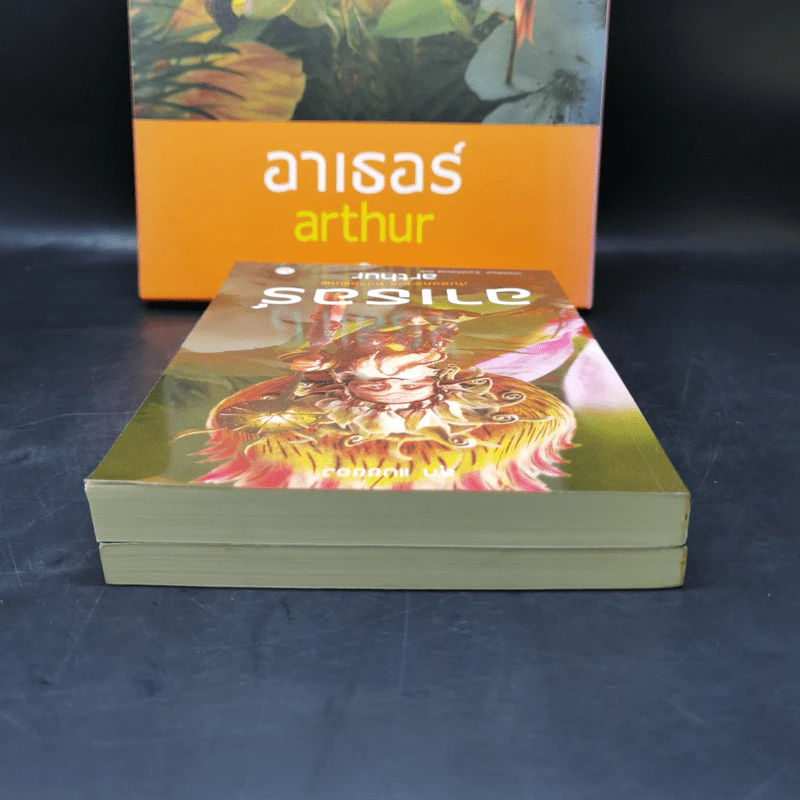 อาเธอร์ Arthur Boxset เล่ม 1-2 - ลุก แบซซอง รูปที่ 5